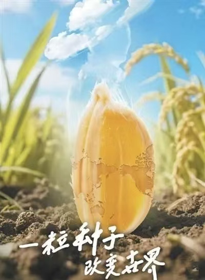 微信图片_20260916093324_50_41.jpg 微信图片_20260916093324_50_41.jpg